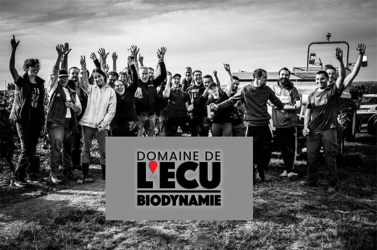 Domaine de l'ecu