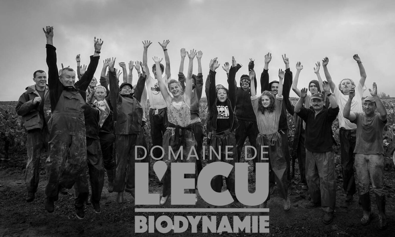 Domaine de l'ecu