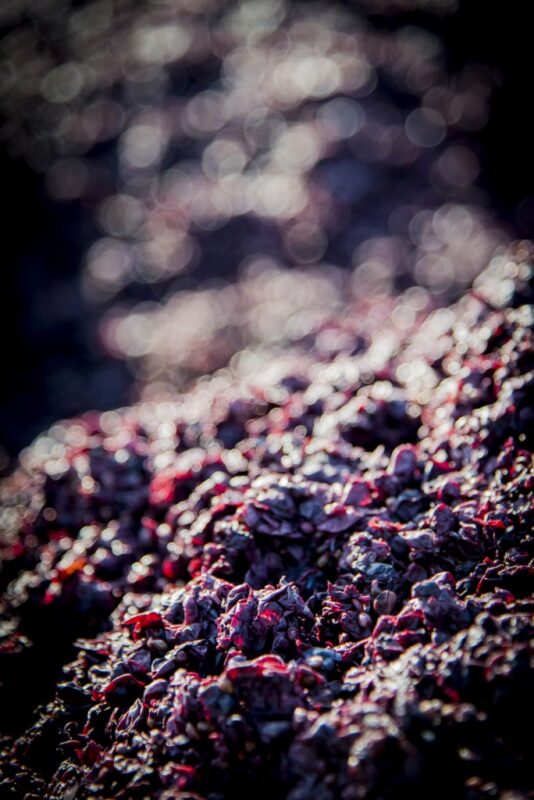 Domaine de l'ecu